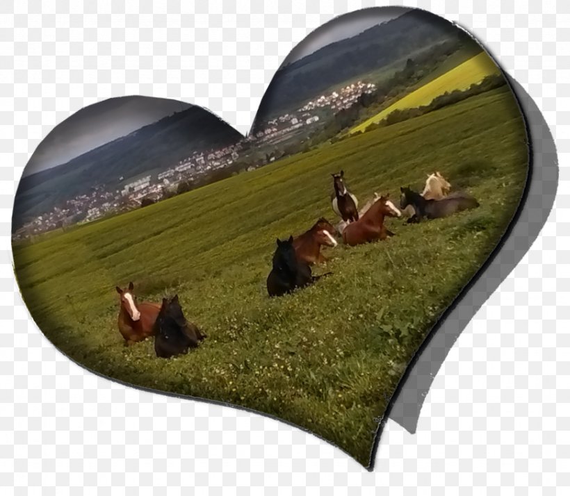 The Green Heart Ranch Horse Lange Straße Equestrian Email, PNG, 871x759px, Horse, Email, Equestrian, Equestrian Centre, Equine Therapy Download Free