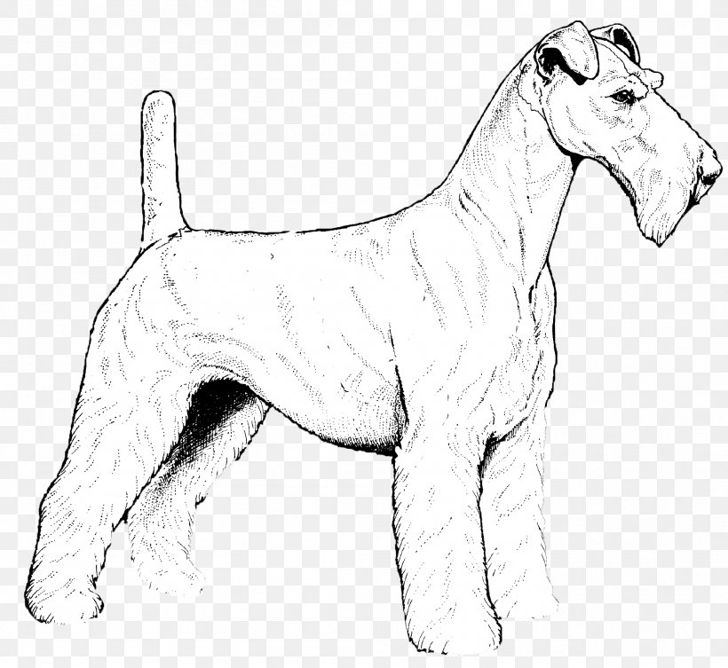 Airedale Terrier Wire Hair Fox Terrier Boston Terrier Puppy Yorkshire Terrier, PNG, 1998x1835px, Airedale Terrier, Artwork, Black And White, Boston Terrier, Boxer Download Free