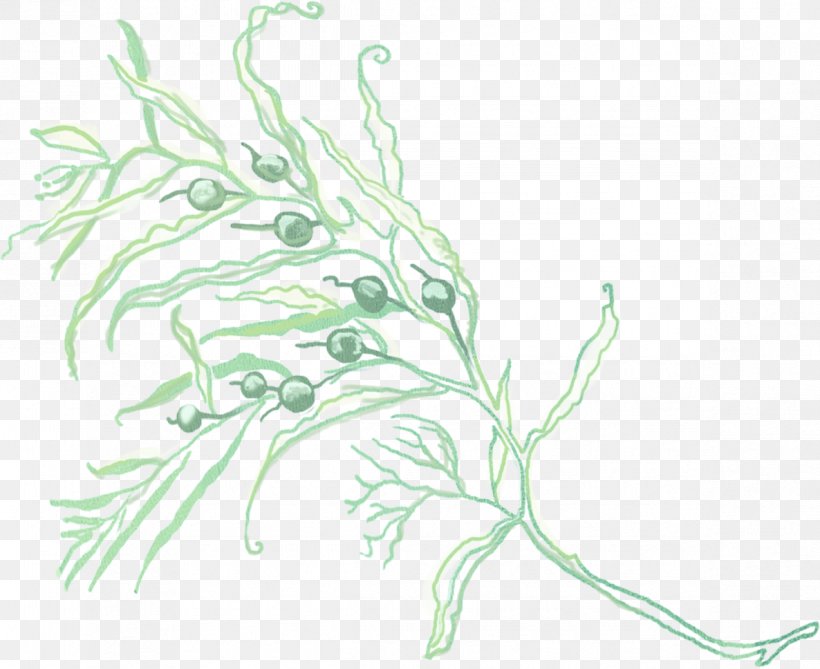 Motif Plant, PNG, 1186x968px, Motif, Branch, Drawing, Fictional Character, Flora Download Free
