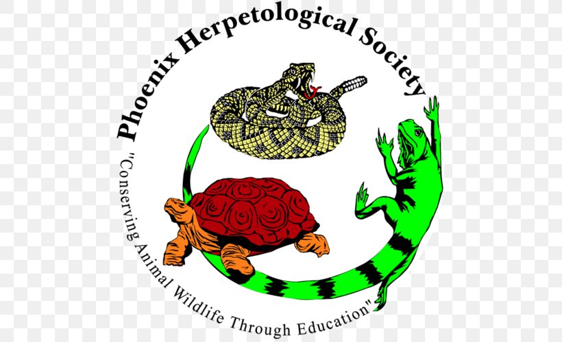 Phoenix Herpetological Society Toad Reptile Non-profit Organisation Snake, PNG, 500x500px, Phoenix Herpetological Society, Amphibian, Animal, Area, Arizona Download Free