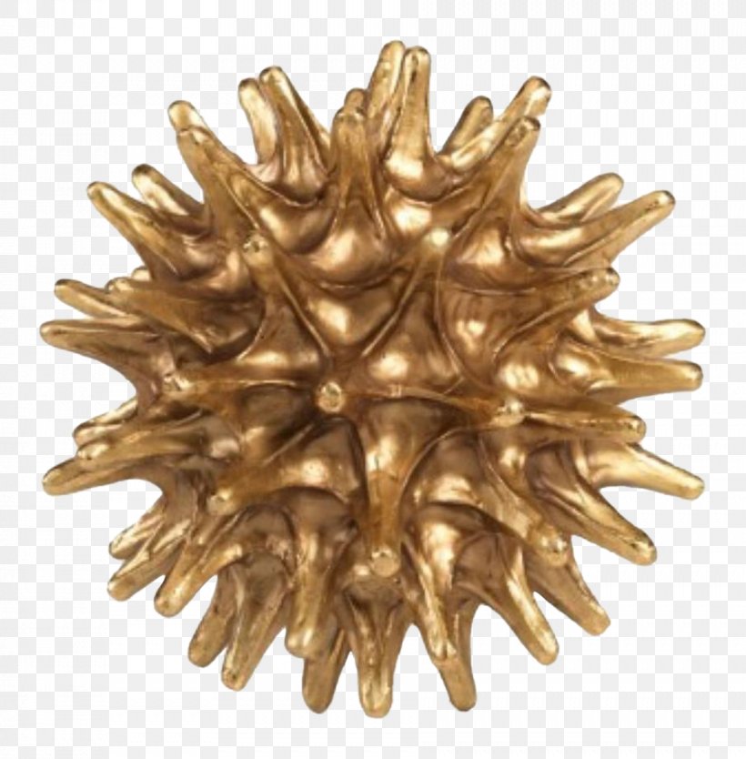 Sea Urchin Wayfair Sculpture Brass Statue, PNG, 902x918px, Sea Urchin, Brass, Humour, Metal, Metal Spinning Download Free