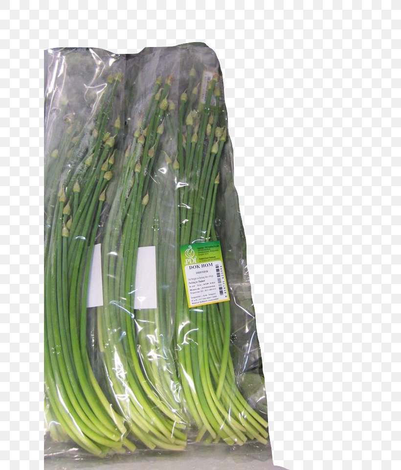 Allium Fistulosum Welsh Cuisine Leaf Vegetable, PNG, 639x960px, Allium Fistulosum, Allium, Grass, Leaf Vegetable, Scallion Download Free