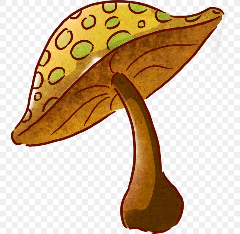 Common Mushroom Drawing Color Clip Art, PNG, 746x800px, Common Mushroom, Agaricus, Cartoon, Color, Color Mapping Download Free