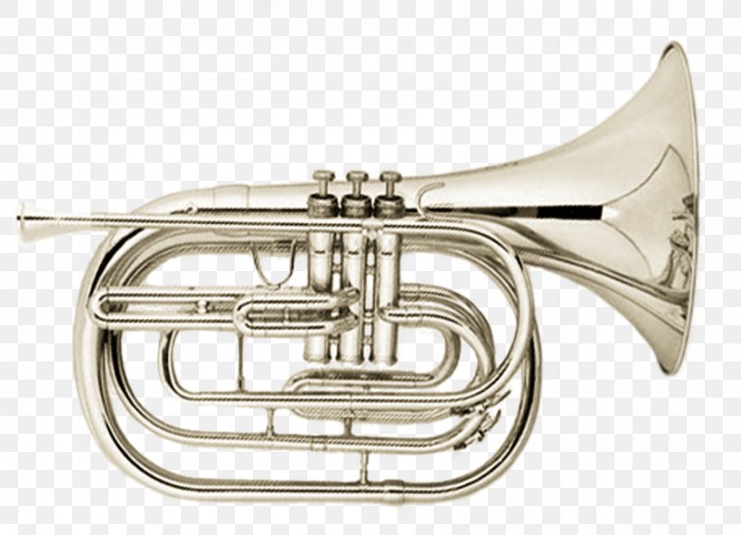 Cornet Mellophone Euphonium Saxhorn Flugelhorn, PNG, 895x647px, Cornet, Alto Horn, Baritone Horn, Brass, Brass Instrument Download Free