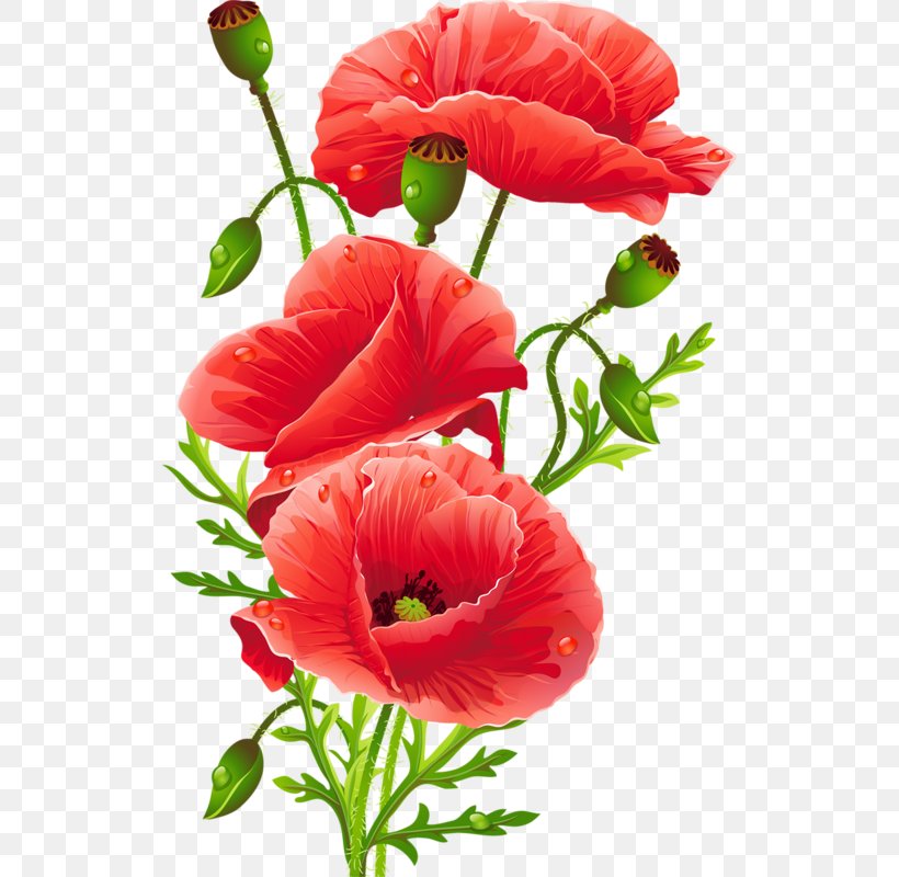 Flower Bouquet Common Poppy Floristry, PNG, 524x800px, Flower, Annual Plant, Artificial Flower, Common Poppy, Coquelicot Download Free
