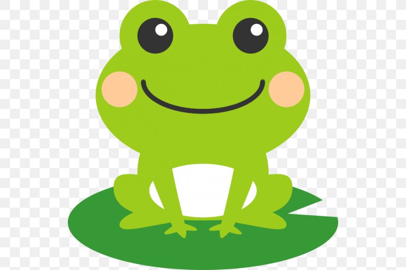 Frog Illustration Clip Art Image Amphibians, PNG, 546x546px, Frog, Amphibian, Amphibians, Artwork, Blog Download Free