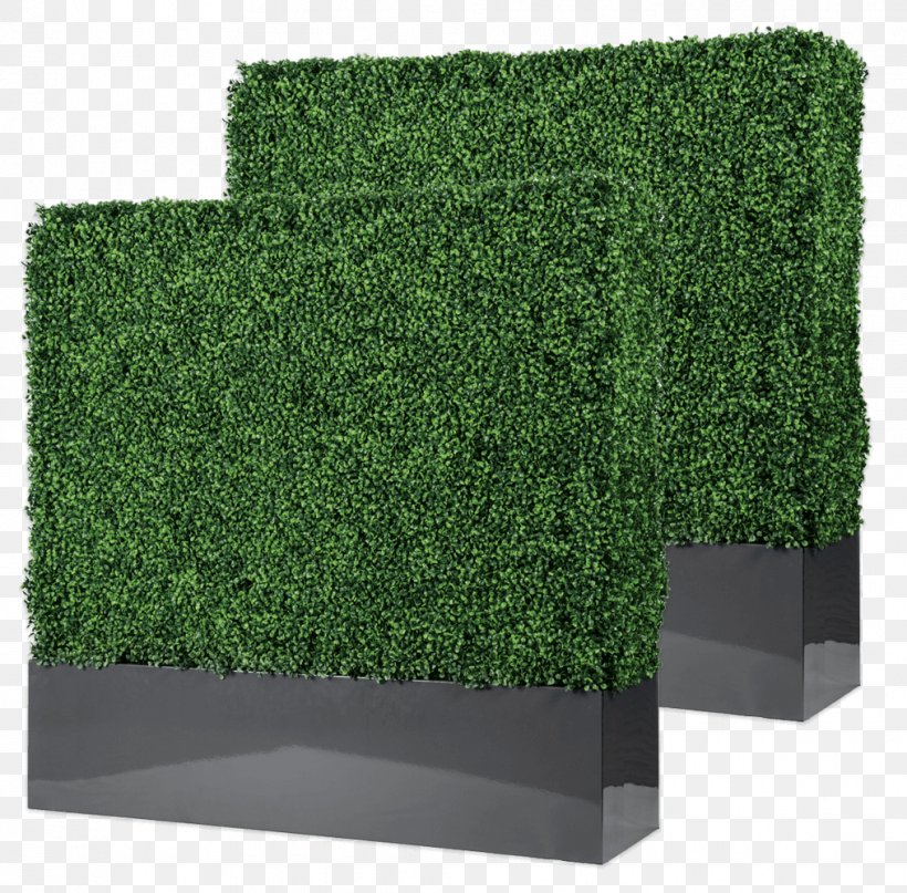 Hedge Rectangle Shrub, PNG, 1015x1000px, Hedge, Grass, Green, Plant, Rectangle Download Free