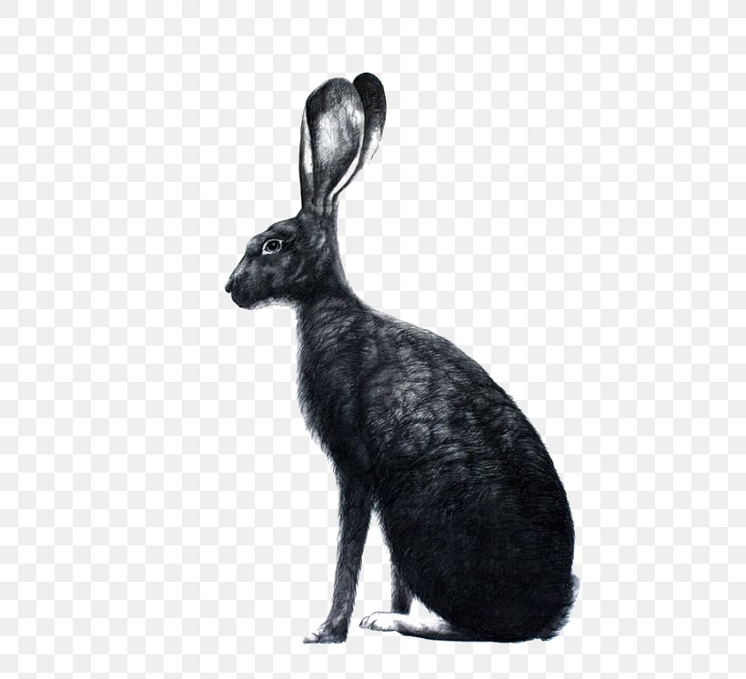 Easter Bunny The Book Of Bunny Suicides March Hare Bunnies & Rabbits, PNG, 564x747px, Easter Bunny, Black And White, Bunnies Rabbits, Digital Image, Domestic Rabbit Download Free