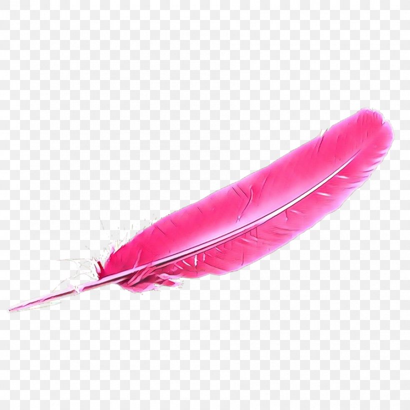 Feather, PNG, 894x894px, Cartoon, Fashion Accessory, Feather, Magenta, Pen Download Free