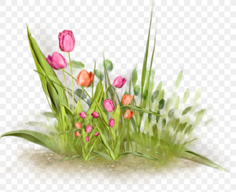 Flower Clip Art, PNG, 980x798px, Flower, Blume, Cut Flowers, Drawing, Floral Design Download Free