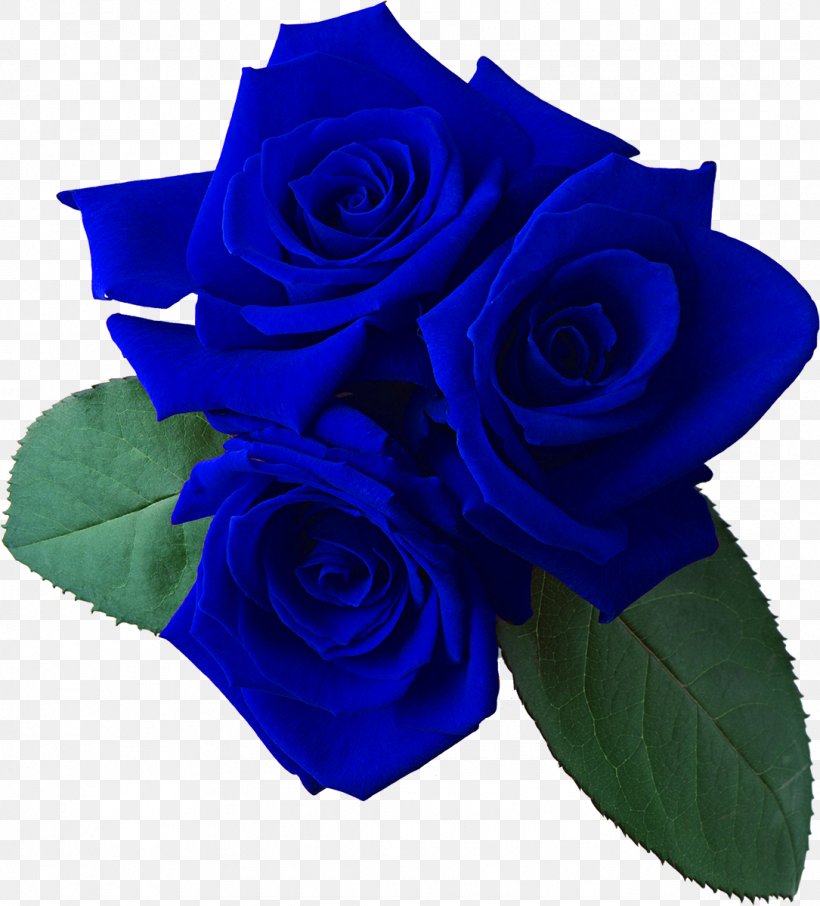 Garden Roses Flower Bouquet Cut Flowers, PNG, 1085x1200px, Garden Roses, Blue, Blue Rose, Cobalt Blue, Cut Flowers Download Free
