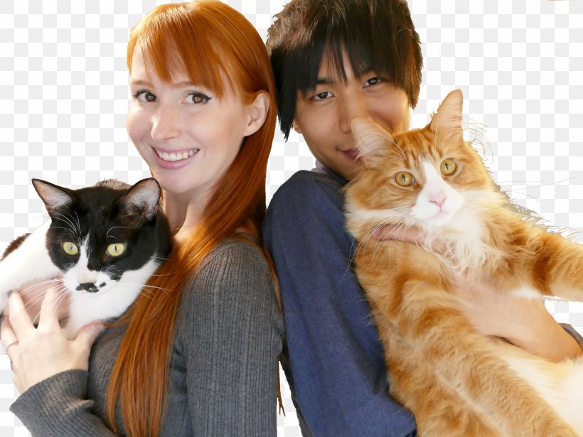 Kitten Japan Animazement Cat Rachel And Jun, PNG, 2000x1500px, Kitten, Animazement, Carnivoran, Cat, Cat Like Mammal Download Free