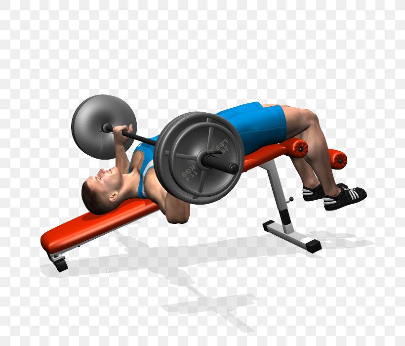 Weight Training Bench Press Barbell Fly, PNG, 700x700px, Weight Training, Arm, Balance, Barbell, Bench Download Free