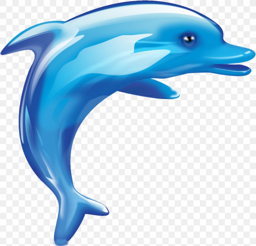 Cartoon Download, PNG, 834x800px, Cartoon, Animal, Beak, Child, Common Bottlenose Dolphin Download Free