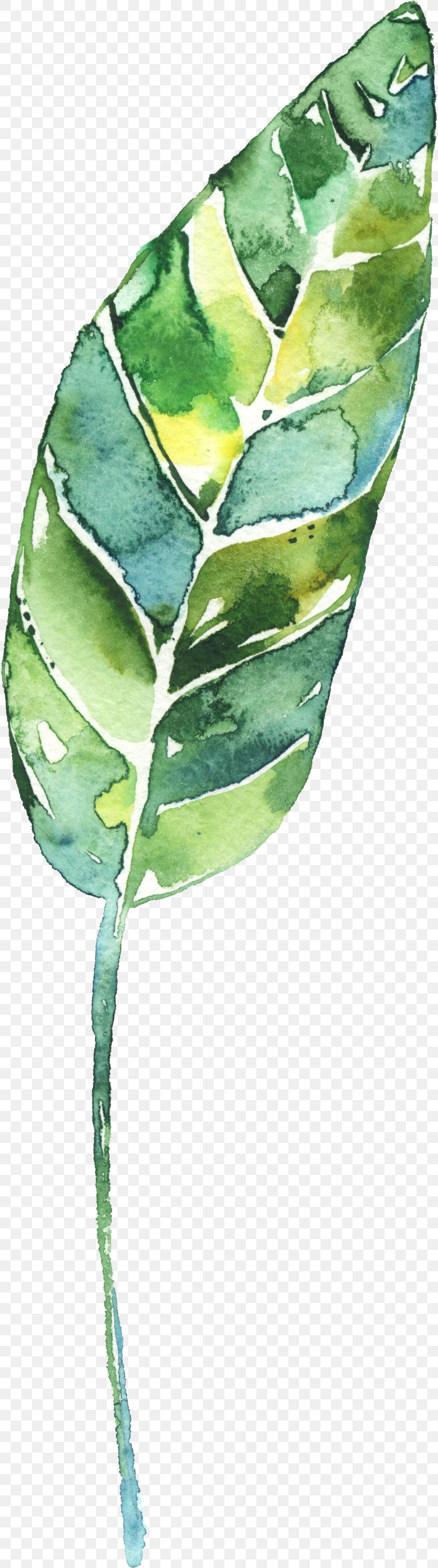 Creative Watercolor Watercolor Painting Leaf, PNG, 816x2936px, Creative Watercolor, Cartoon, Drawing, Ink Wash Painting, Leaf Download Free
