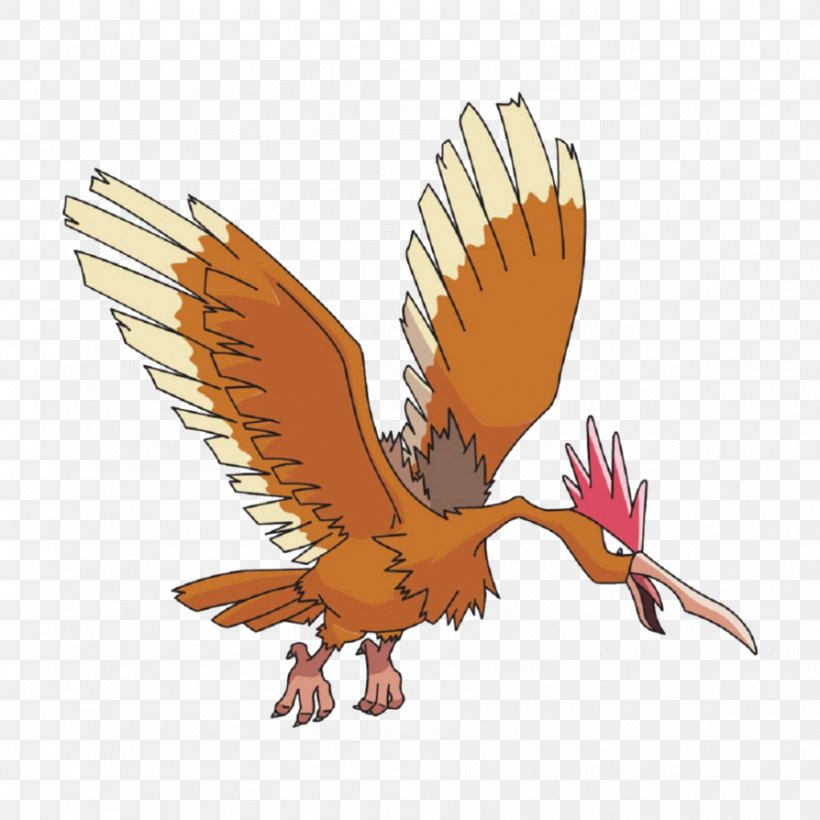 Fearow Spearow Pidgeot National Dex Flying, PNG, 894x894px, Fearow, Accipitridae, Accipitriformes, Animal Figure, Beak Download Free