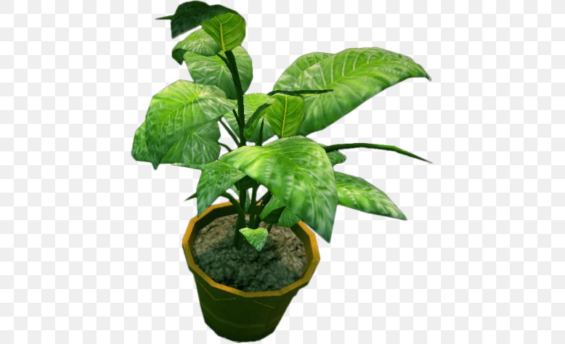 Houseplant Flowerpot Tree, PNG, 500x500px, Plant, Aloe Vera, Bonsai, Flowerpot, Herb Download Free
