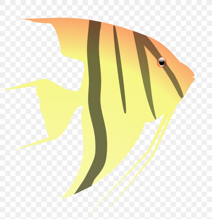 Angelfish Clip Art, PNG, 872x900px, Angelfish, Aquarium, Art, Beak, Blog Download Free