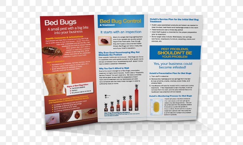 Bed Bug Brochure Pest Control Rat, PNG, 650x490px, Bed Bug, Advertising, Bed, Brand, Brochure Download Free