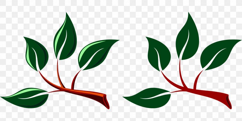 Branch Leaf Tree Clip Art, PNG, 1920x960px, Branch, Artwork, Bud, Flora, Flower Download Free