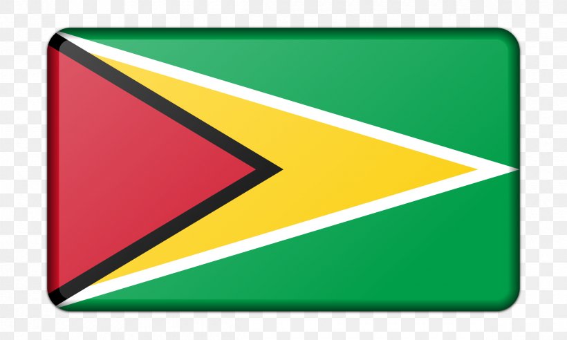 Flag Of Guyana Flag Of Ohio Flag Of Montana, PNG, 2400x1440px, Guyana, Area, Brand, Flag, Flag Of Brazil Download Free