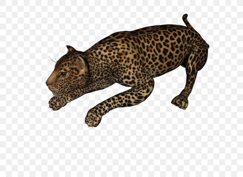 Leopard Jaguar Cheetah PhotoScape Clip Art, PNG, 800x600px, Leopard, Animal, Animal Figure, Big Cats, Carnivoran Download Free