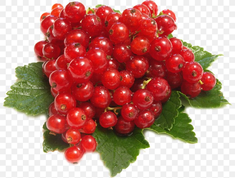 Redcurrant Red Wine Berry Fruit, PNG, 800x623px, Redcurrant, Accessory Fruit, Auglis, Berry, Bilberry Download Free