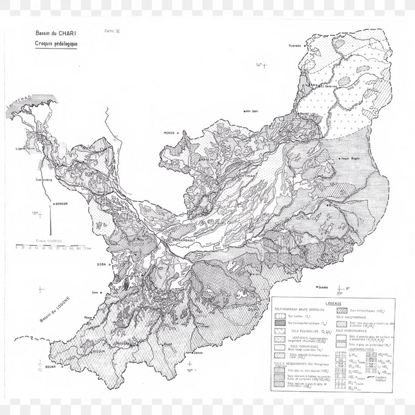 Tree Line Point Map White, PNG, 1063x1063px, Tree, Area, Artwork, Black And White, Map Download Free