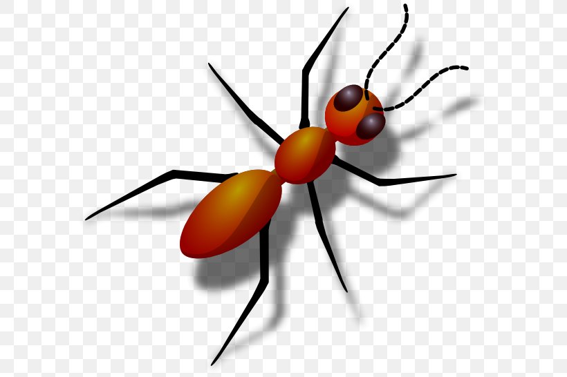 Ant Clip Art, PNG, 600x546px, Ant, Ant Colony, Arthropod, Black Garden Ant, Fire Ant Download Free