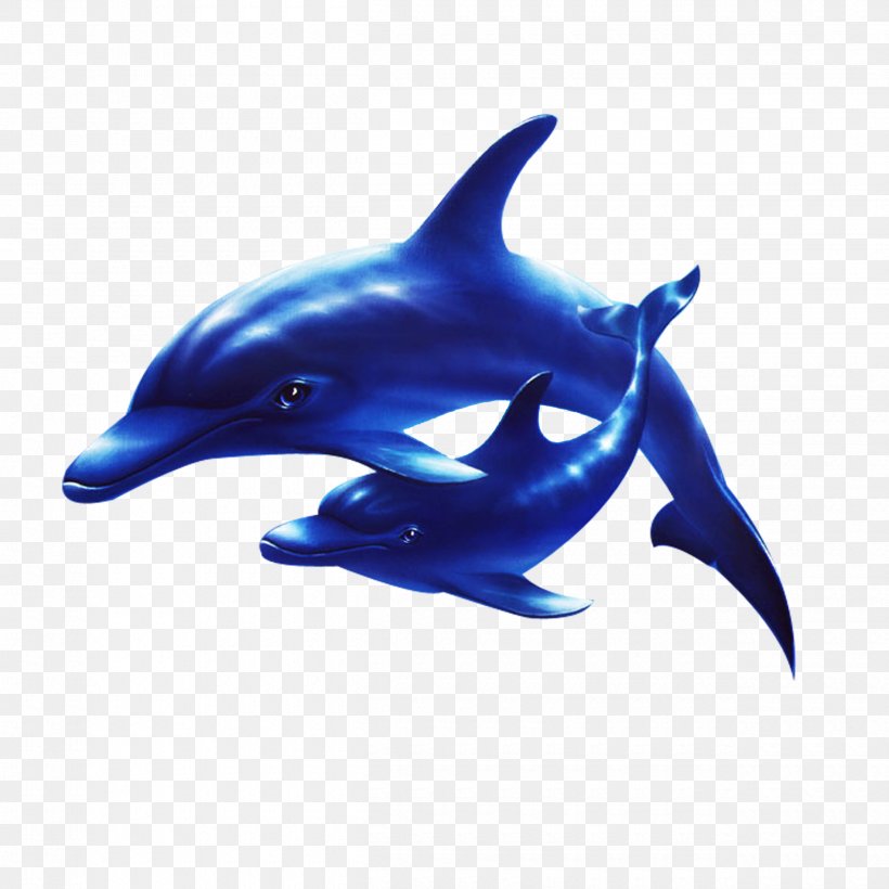 Dolphin Sea Clip Art, PNG, 2500x2500px, Dolphin, Cobalt Blue, Common Bottlenose Dolphin, Drawing, Electric Blue Download Free