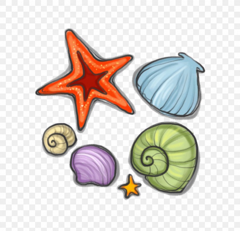 Seashell Starfish Sea Snail Clip Art, PNG, 1902x1836px, Seashell, Drawing, Invertebrate, Marine, Marine Biology Download Free