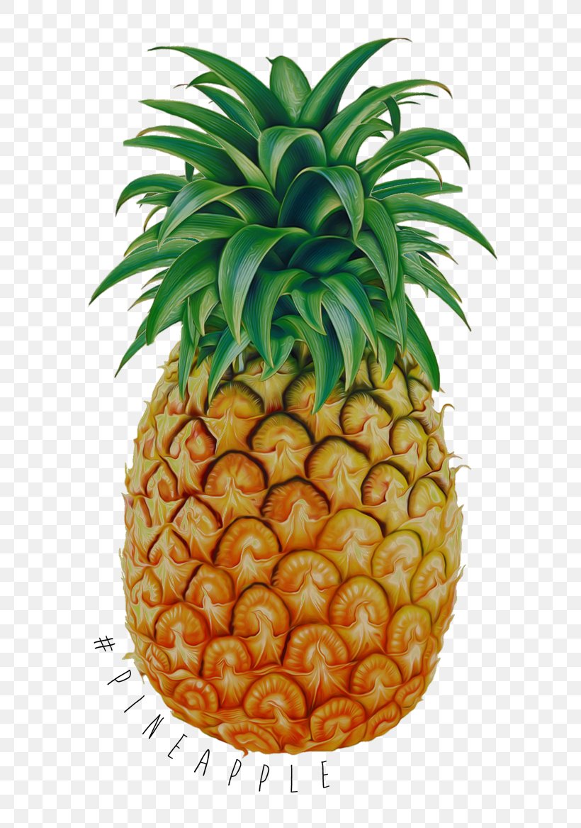 Tropical Fruit Pineapple Drawing, PNG, 700x1167px, Fruit, Ananas, Apple, Auglis, Bromeliaceae Download Free