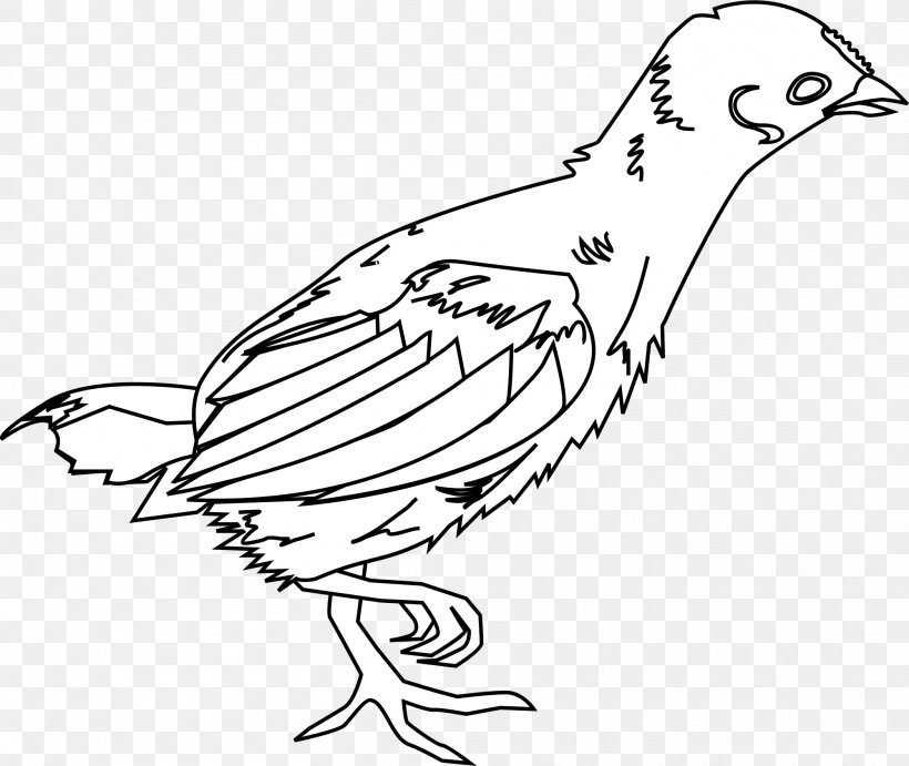 Chicken Kifaranga, PNG, 2001x1687px, Chicken, Artwork, Beak, Bird, Black And White Download Free