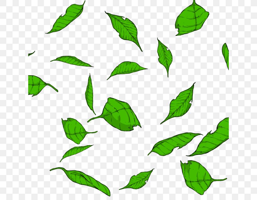 Clip Art Vector Graphics Image Psd, PNG, 640x640px, Leaf, Branch, Cartoon, Flower, Green Download Free