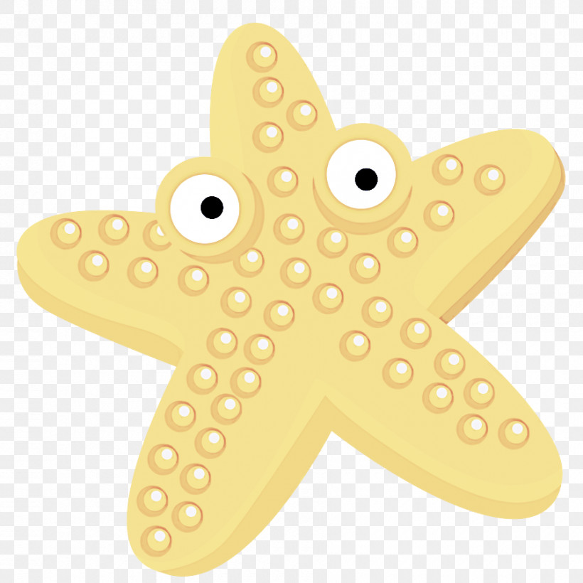 Starfish, PNG, 900x900px, Starfish Download Free