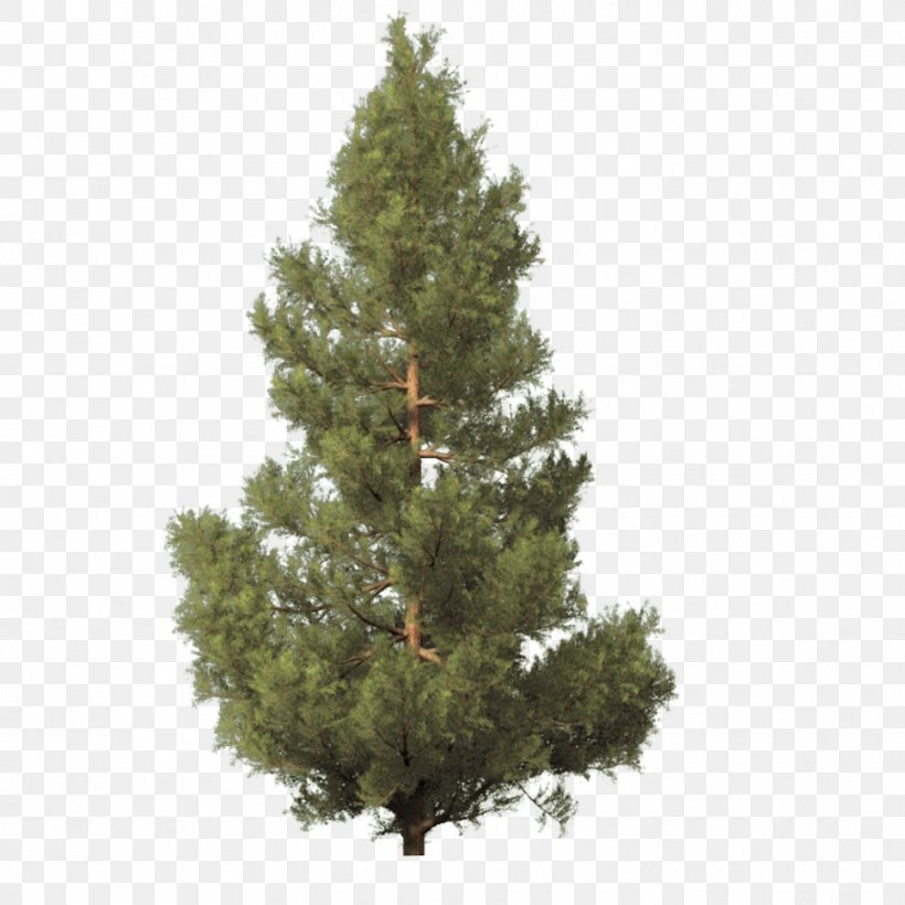 Fraser Fir Artificial Christmas Tree, PNG, 968x968px, Fraser Fir, Artificial Christmas Tree, Biome, Branch, Christmas Download Free