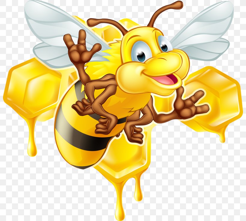 Honey Bee Illustration, PNG, 800x739px, Bee, Art, Carnivoran, Cartoon, Creative Market Download Free