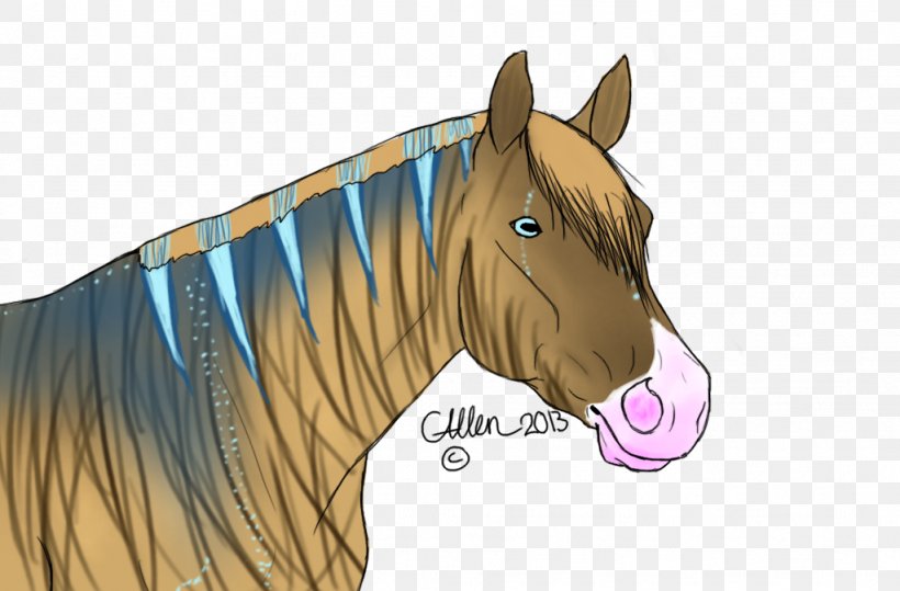 Mane Mustang Stallion Halter Rein, PNG, 1024x674px, Mane, Bridle, Cartoon, Halter, Head Download Free