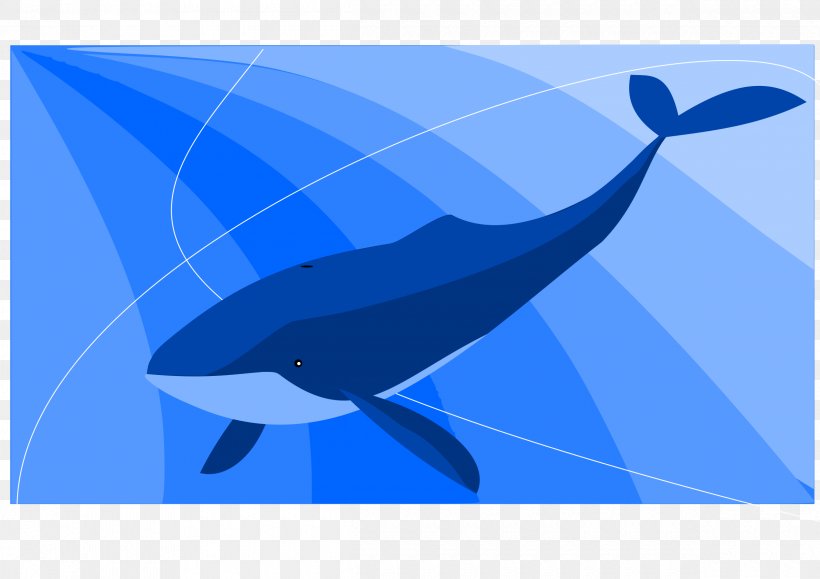 Balaenidae Blue Whale Game Suicide, PNG, 2400x1697px, Balaenidae, Adolescence, Azure, Baleen Whale, Blue Download Free