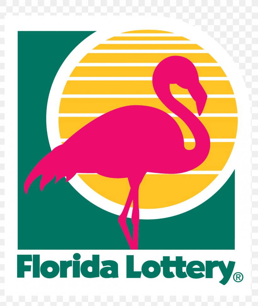 Florida Lottery, PNG, 1100x1306px, Florida, Area, Artwork, Beak, Bird Download Free