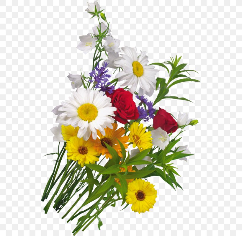 Flower Bouquet Stock Photography Nosegay, PNG, 543x800px, Flower Bouquet, Annual Plant, Aster, Bruidsboeket, Chrysanths Download Free