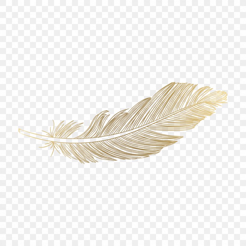 Photography Image Feather 0, PNG, 1000x1000px, 2018, Photography, Facebook, Feather, Pen Download Free