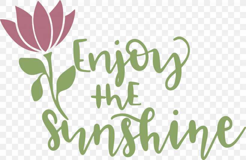 Sunshine Enjoy The Sunshine, PNG, 3000x1954px, Sunshine, Biology, Floral Design, Flower, Green Download Free