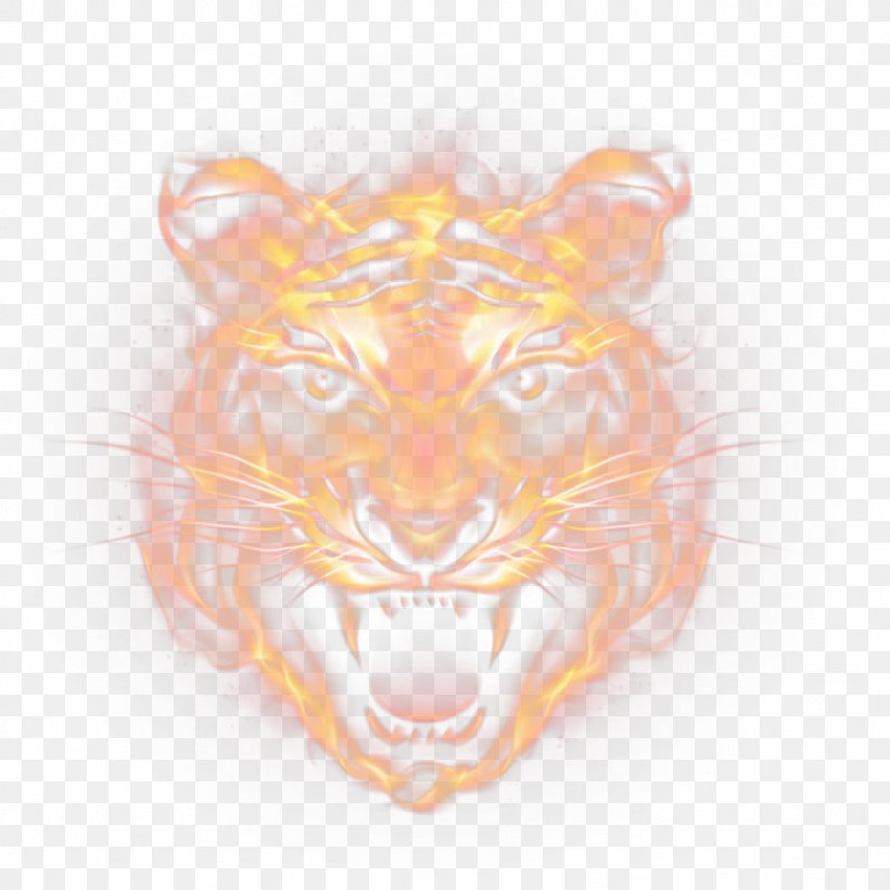 Tiger Euclidean Vector Icon, PNG, 1024x1024px, Tiger, Big Cats, Black Tiger, Carnivoran, Cat Like Mammal Download Free