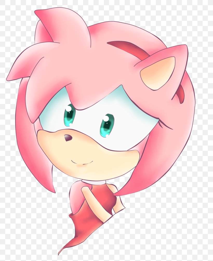 Amy Rose Sonic The Hedgehog Shadow The Hedgehog, PNG, 795x1004px, Watercolor, Cartoon, Flower, Frame, Heart Download Free
