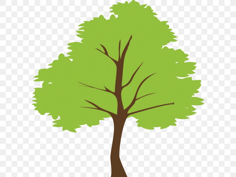 Tree Clip Art, PNG, 600x616px, Tree, Art, Branch, Drawing, Grass Download Free