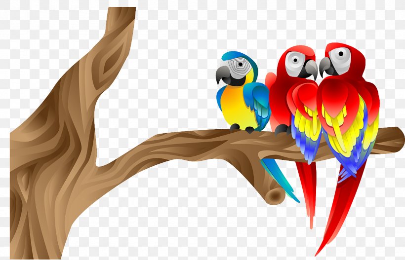 Macaw Parrot Bird Beak Illustration, PNG, 1280x823px, Macaw, Animal, Animation, Beak, Bird Download Free