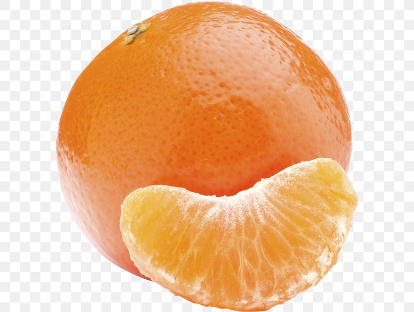Mandarin Orange Tangerine Tangelo Clementine Grapefruit, PNG, 600x619px, Mandarin Orange, Bitter Orange, Blood Orange, Chenpi, Citric Acid Download Free