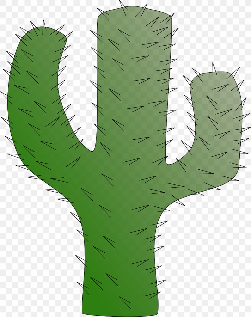 Cactaceae Clip Art, PNG, 1014x1280px, Cactaceae, Botany, Cactus, Caryophyllales, Desert Download Free