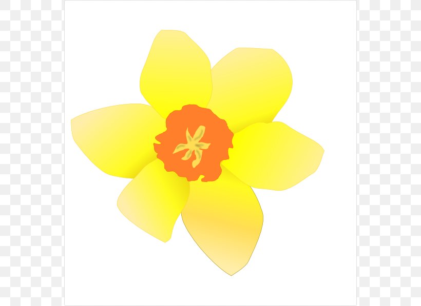 Daffodil Free Content Clip Art, PNG, 570x597px, Daffodil, Art, Cartoon, Drawing, Flower Download Free